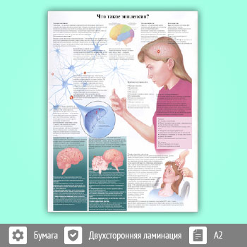 Плакат «Что такое эпилепсия?» (ЗОЖ-23, 1 лист, A2)